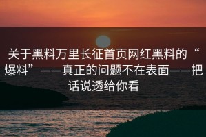 关于黑料万里长征首页网红黑料的“爆料”——真正的问题不在表面——把话说透给你看