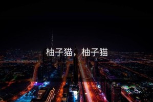 柚子猫，柚子猫