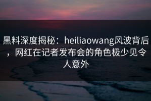 黑料深度揭秘：heiliaowang风波背后，网红在记者发布会的角色极少见令人意外