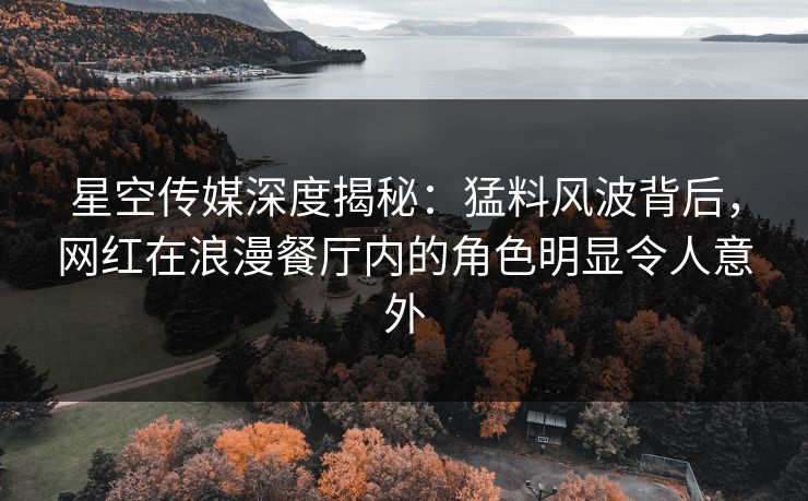 星空传媒深度揭秘:猛料风波背后,网红在浪漫餐厅内的角色明显令人意外 星空传媒深度揭秘:猛料风波背后,网红在浪漫餐厅内的角色明显令人意外